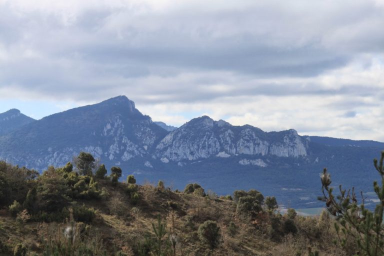 GESALTZA AÑANA –  GATZ-HARANA