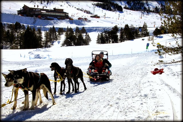 familia en trineo de perros mushing en Andorra