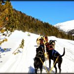 MUSHING ANDORRAN