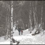 ANDORRA KANPER FURGONETAZ: ZER IKUSI IHESALDI BATEAN