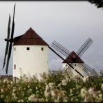 CUENCA KANPER FURGONETAZ: NATURA ETA GASTRONOMIA IBILBIDEA