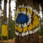 OMA, BASOAK BEGIAK DITUENEAN