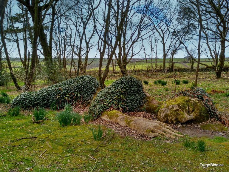 THE LOST GARDENS OF HELIGAN: EL JARDÍN PERDIDO