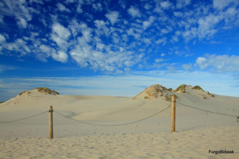 RUTA BÁLTICA: ENTRE DUNAS, BOSQUE Y MAR 4.8 (17)