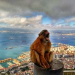 GIBRALTAR EGUN BATEAN
