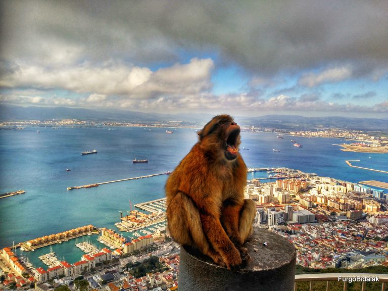 GIBRALTAR EN UN DÍA 4 (3)