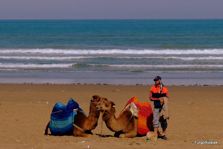 RUTA POR LA COSTA ATLÁNTICA DE MARRUECOS EN CAMPER