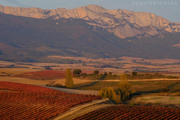 RIOJA ALAVESA EN FURGONETA CAMPER| Ruta por los viñedos de Álava 5 (1)