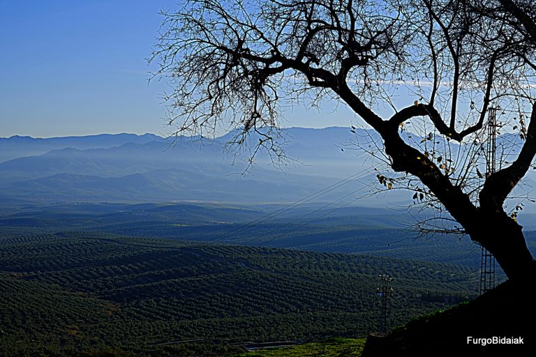 RUTA POR JAÉN EN FURGONETA: SIERRA DE CAZORLA, SEGURA Y LAS VILLAS