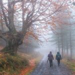 GORBEA BISITATU | FAMILIAKO PLANAK EUSKAL MENDIETAN ZEHAR