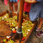 🍂SAGARDOETXEA: FAMILIAKO TAILERRAK UDAZKENAZ GOZATZEKO