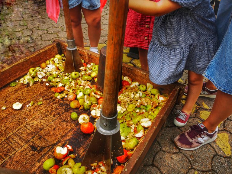 🍂SAGARDOETXEA: TALLERES EN FAMILIA PARA DISFRUTAR DEL OTOÑO 5 (3)