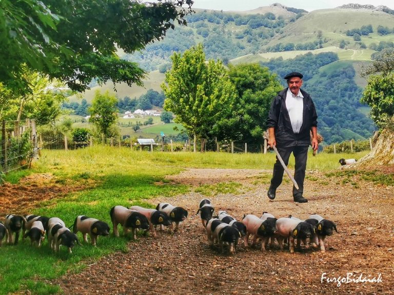 IPARRALDE FURGONETAZ: LARRUN GAILURRETIK BAIGORRIRAINO 5 (2)