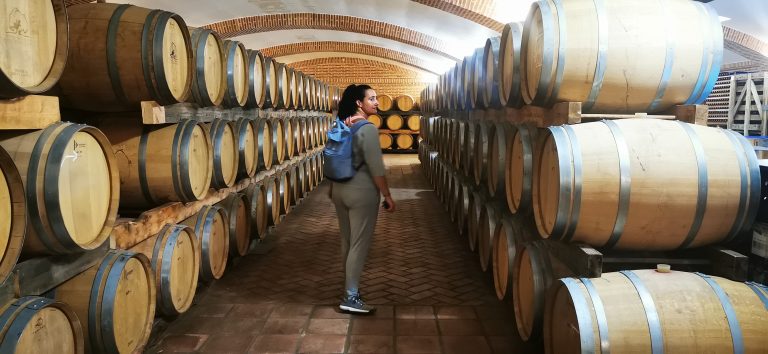 Ruta del Vino de La Mancha en furgoneta camper