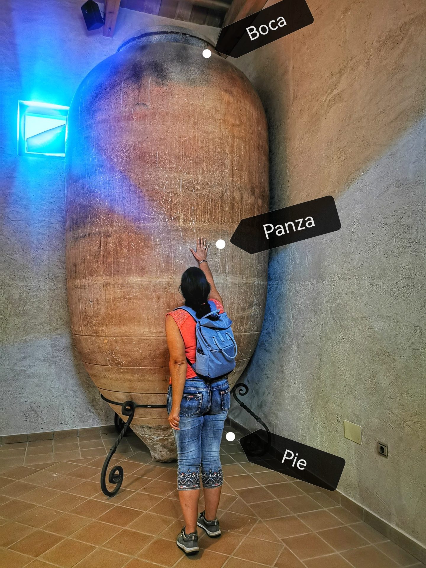 Ardo ibilbidea furgoneta kanperrean