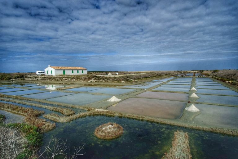 Isla de Ré en furgoneta camper |Qué visitar en la isla blanca