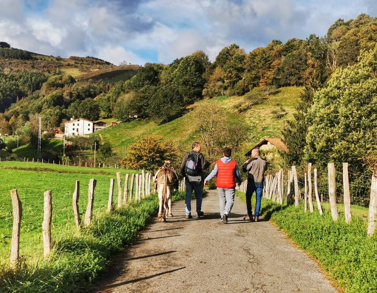 Astotrek turismo aktibo con burros