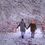 Maitagarrien Ipuinen Ibilbidea autokarabanan | Grimm anaiak ✨