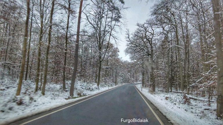 neumáticos para nieve