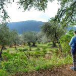 Aracena eta Arocheko Mendiak furgonetan | Huelvako Mendilerroko ibilbidea