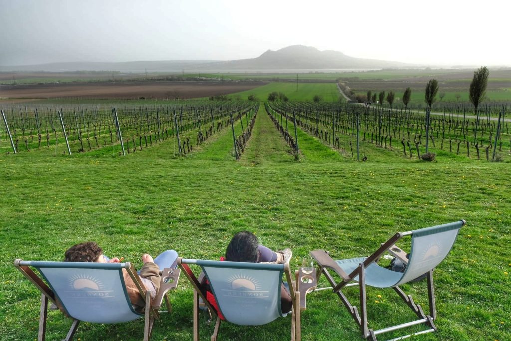 Ruta del vino de Mikulov