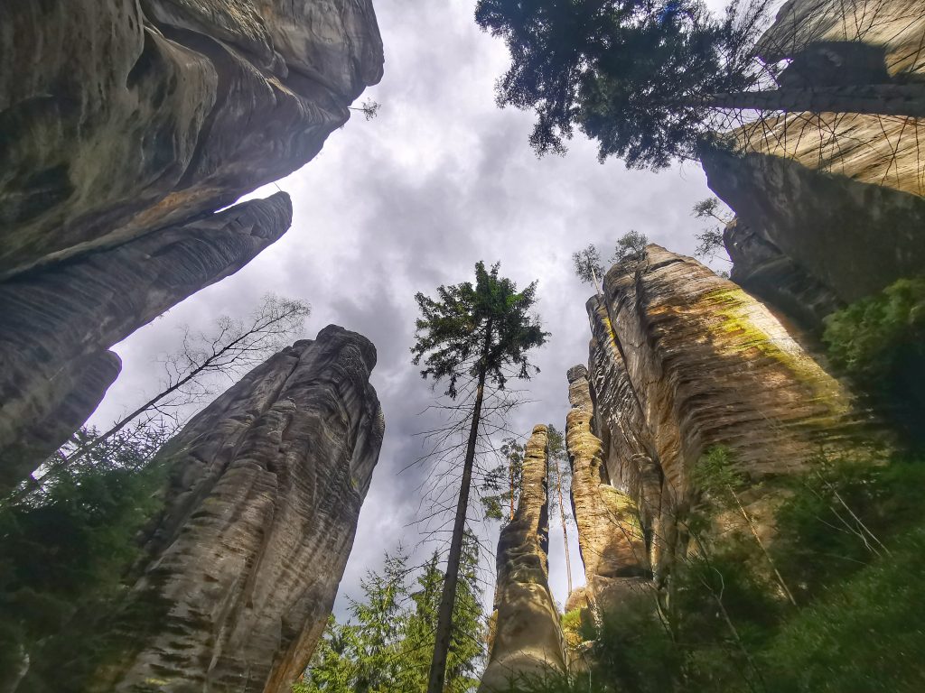 República Checa en furgo