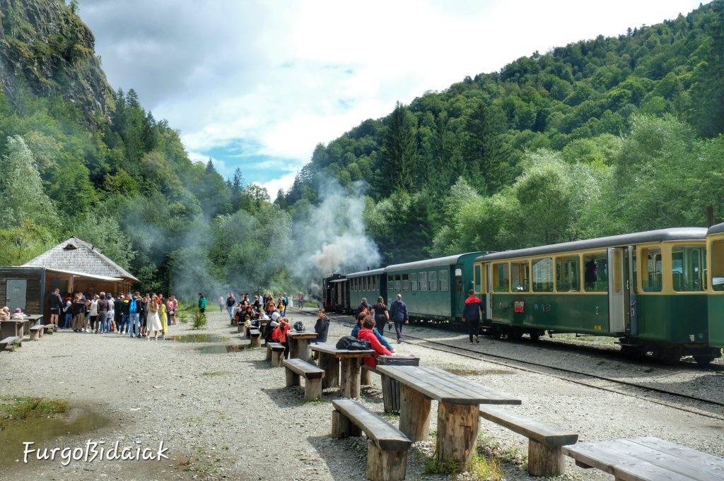 Viajar en el tren Mocanita